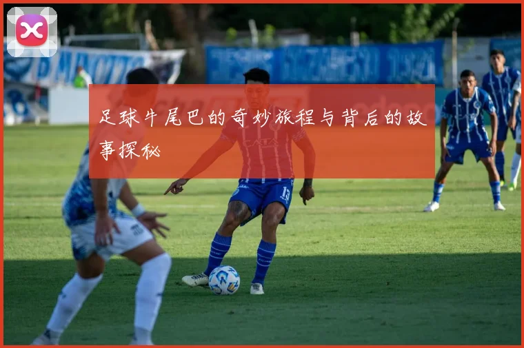 足球牛尾巴的奇妙旅程与背后的故事探秘