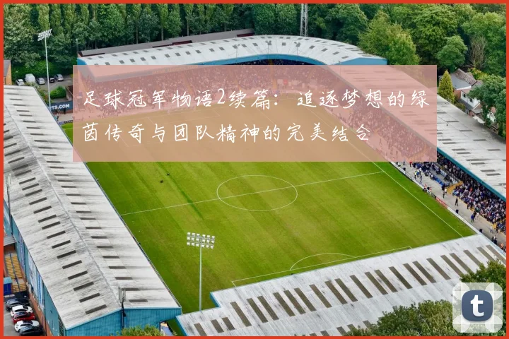 足球冠军物语2续篇：追逐梦想的绿茵传奇与团队精神的完美结合