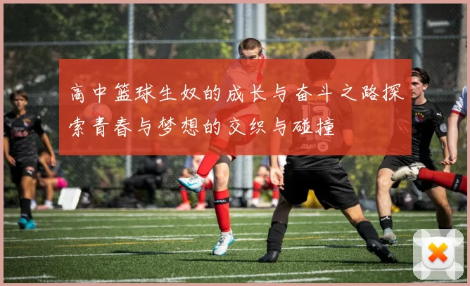 高中篮球生奴的成长与奋斗之路探索青春与梦想的交织与碰撞