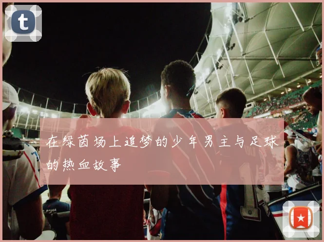 在绿茵场上追梦的少年男主与足球的热血故事