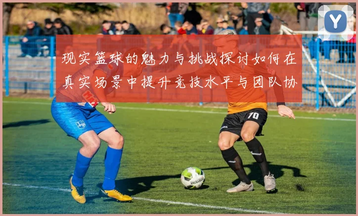 现实篮球的魅力与挑战探讨如何在真实场景中提升竞技水平与团队协作能力
