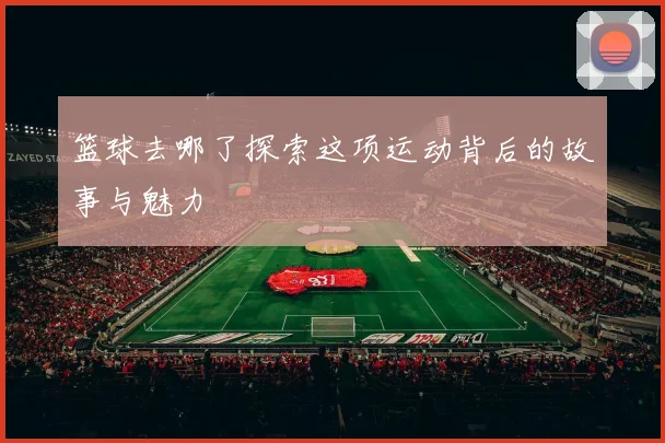 篮球去哪了探索这项运动背后的故事与魅力